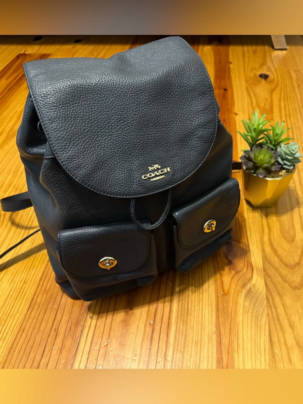 coach baby backpack - women's - pewter/boysenberry - diaper bags houscly Bag with Changing Station, 25L Large Capacity Rod For Trout Best Model:LTPC236XXHMF2 Dovesun